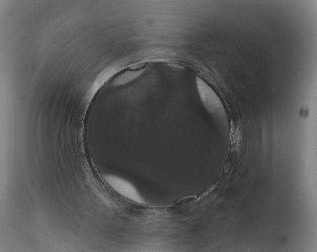 X0000111590099200908061400