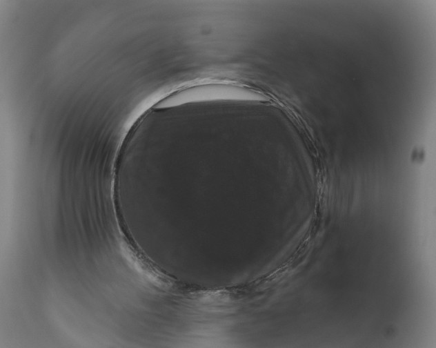 X0000111590100200908061400