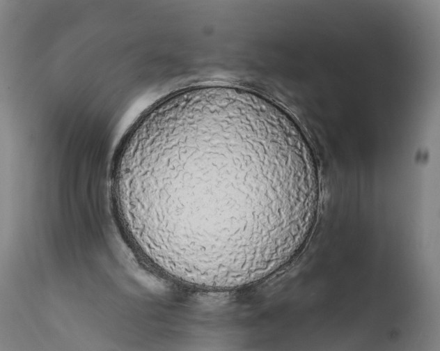 X0000111590102200908061400