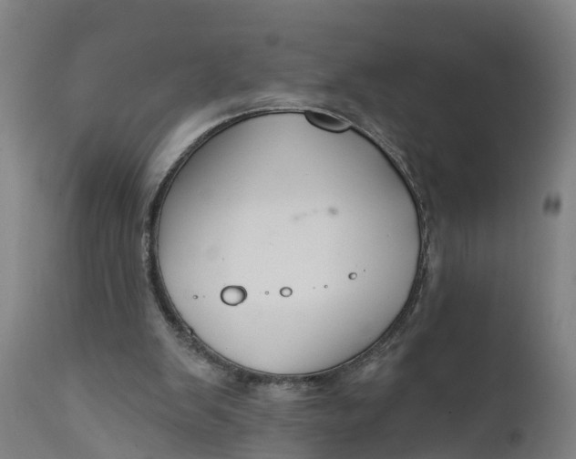 X0000111590103200908061400