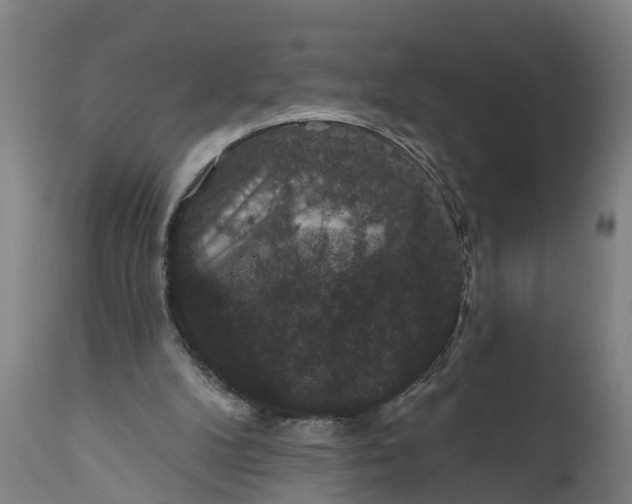 X0000111590104200908061400