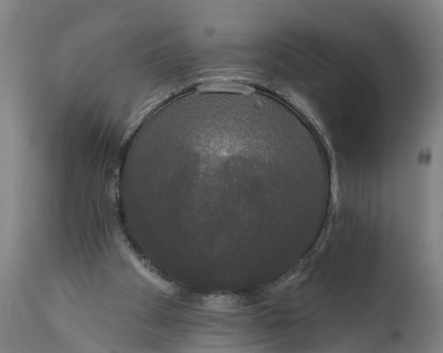 X0000111590105200908061400