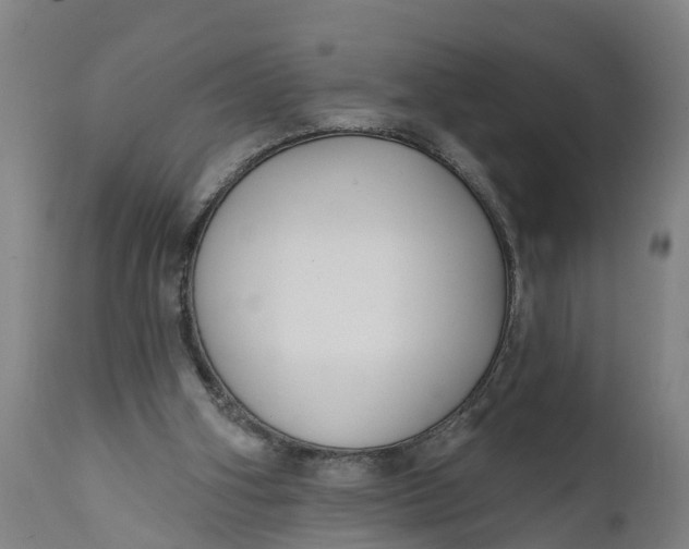 X0000111590106200908061400