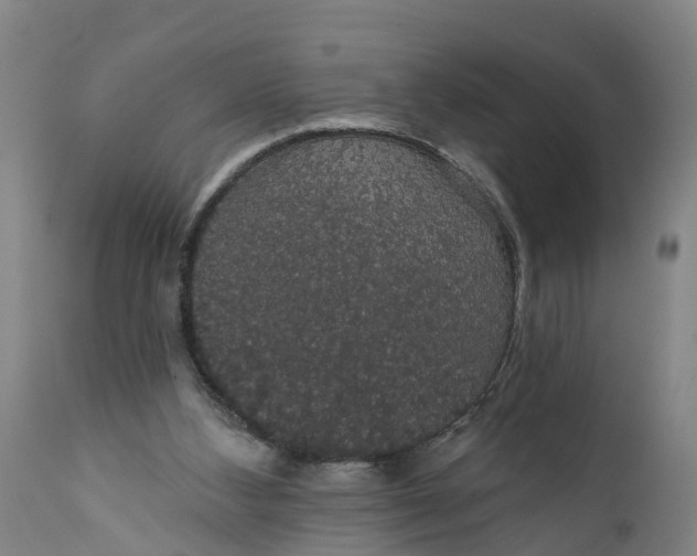 X0000111590108200908061400