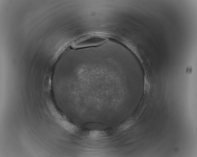 X0000111590109200908061400