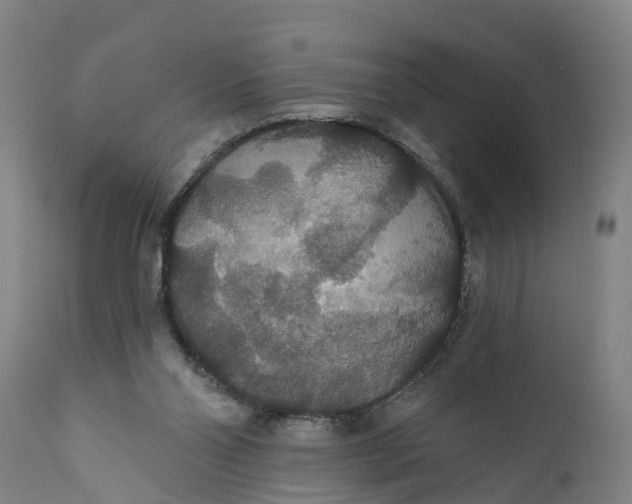 X0000111590110200908061400