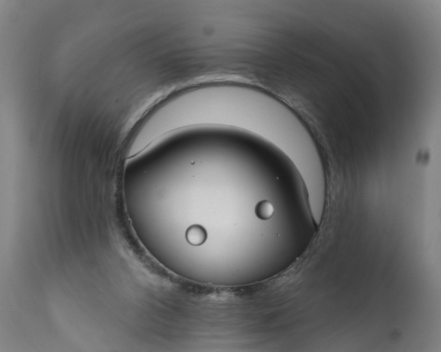 X0000111590112200908061359