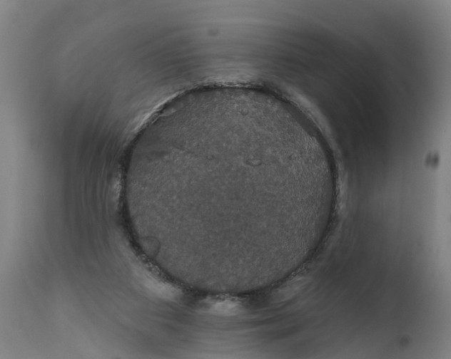 X0000111590113200908061359