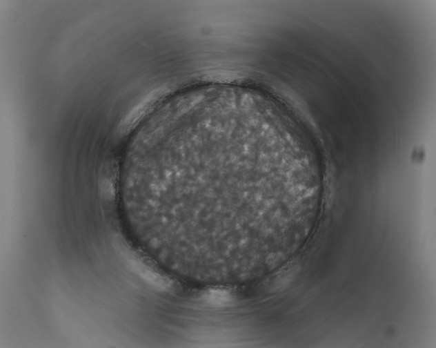 X0000111590114200908061359