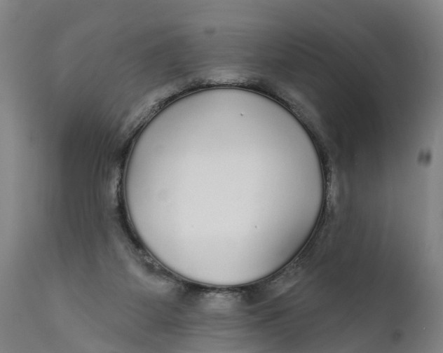 X0000111590115200908061359