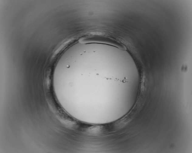 X0000111590116200908061359