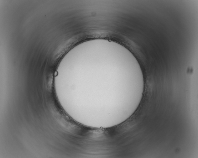 X0000111590118200908061359