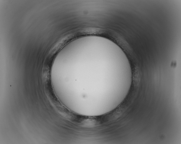 X0000111590119200908061359