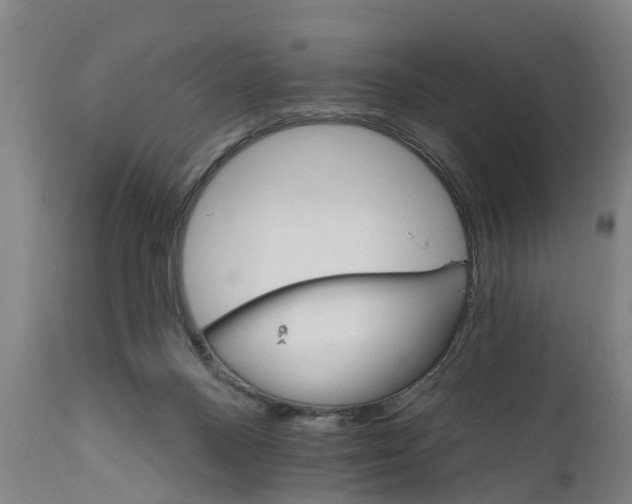 X0000111590120200908061359