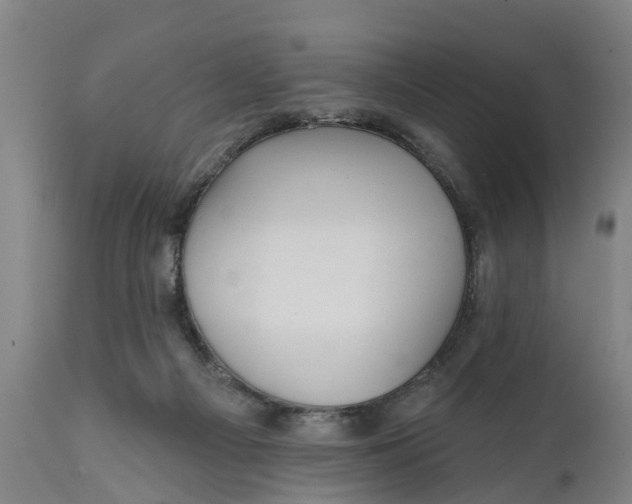 X0000111590121200908061359