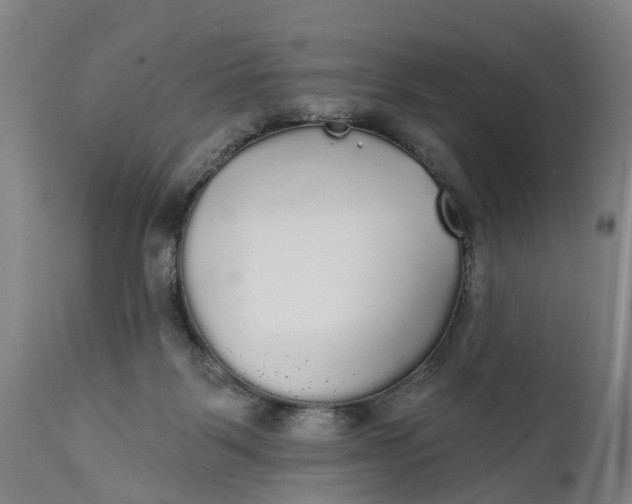 X0000111590123200908061359