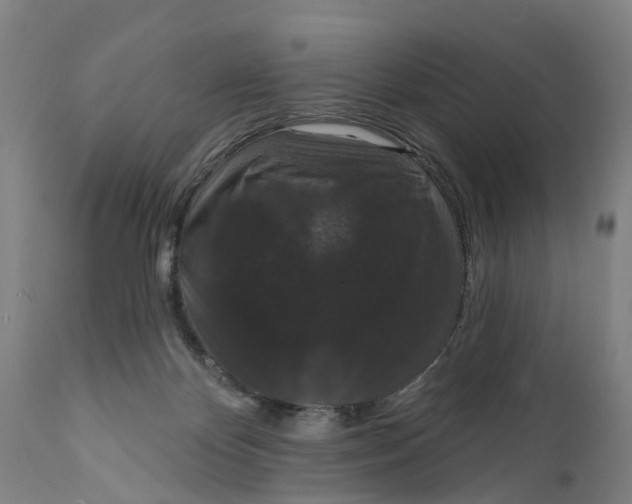 X0000111590124200908061359