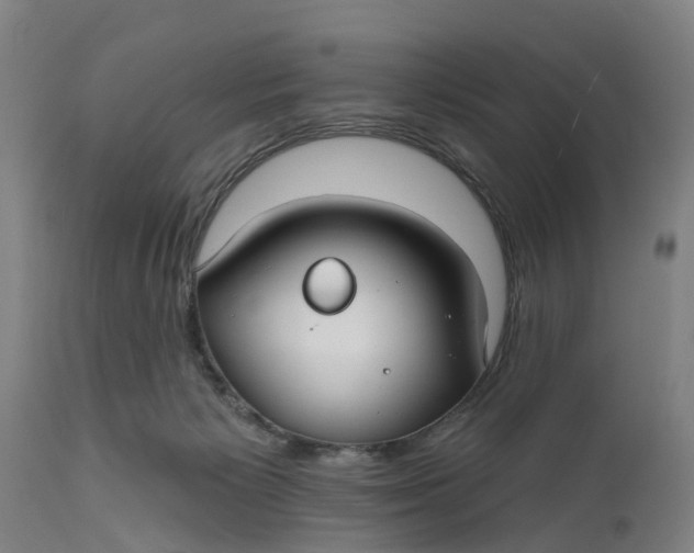 X0000111590125200908061359