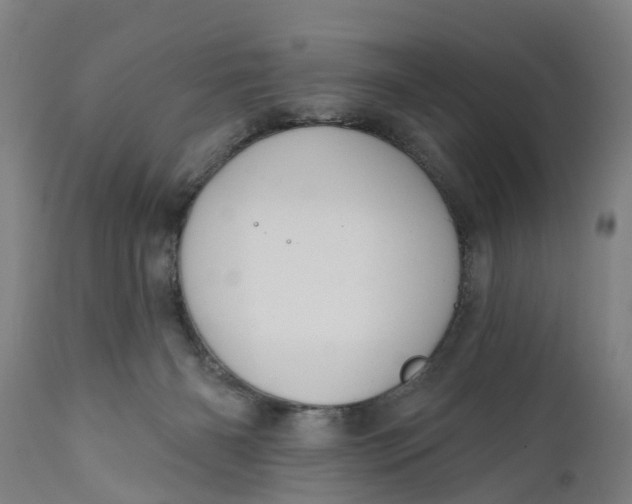 X0000111590126200908061359