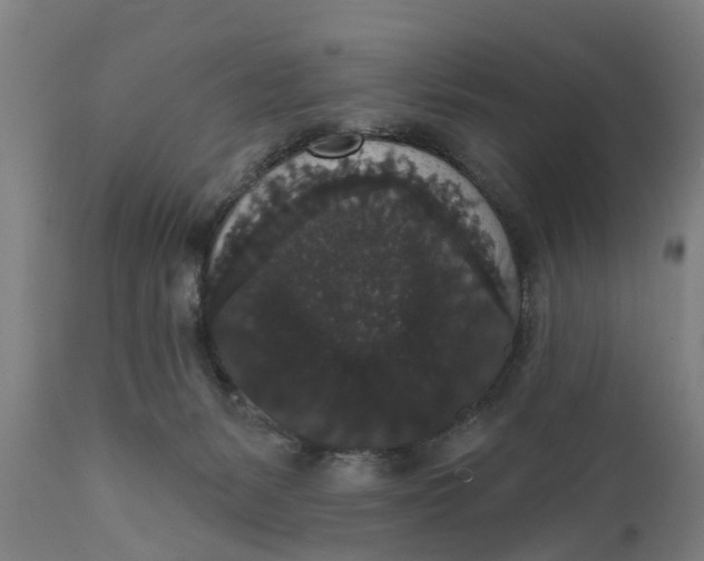 X0000111590127200908061359