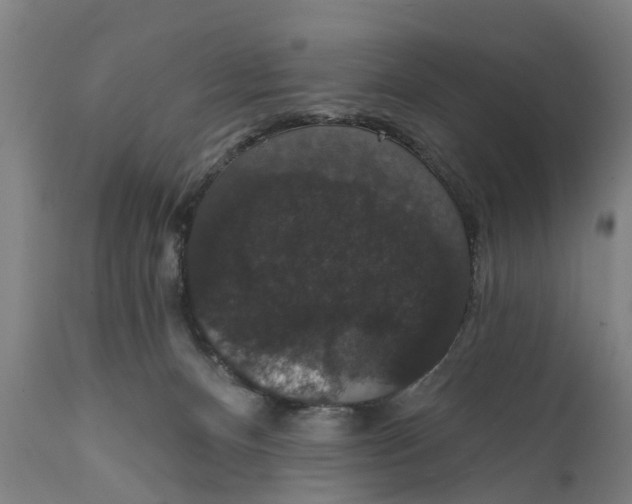 X0000111590128200908061359