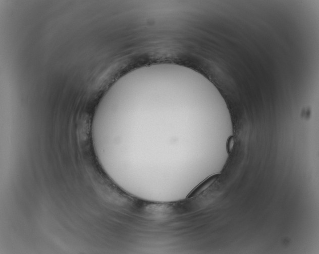 X0000111590133200908061359