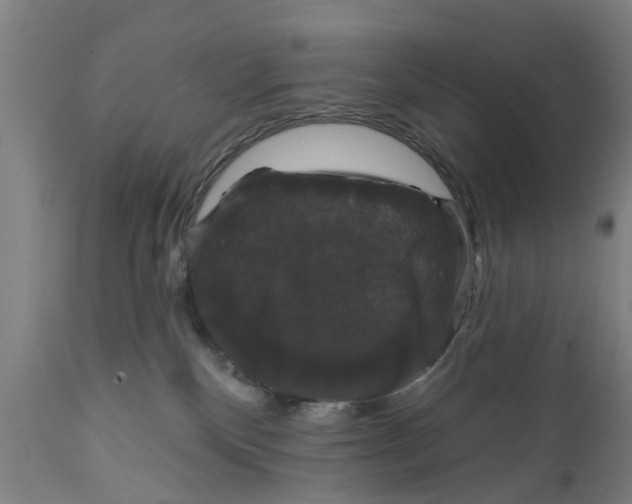 X0000111590136200908061359