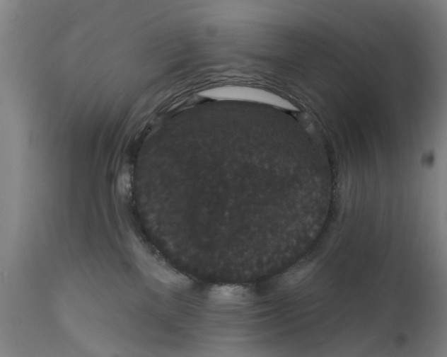 X0000111590137200908061359