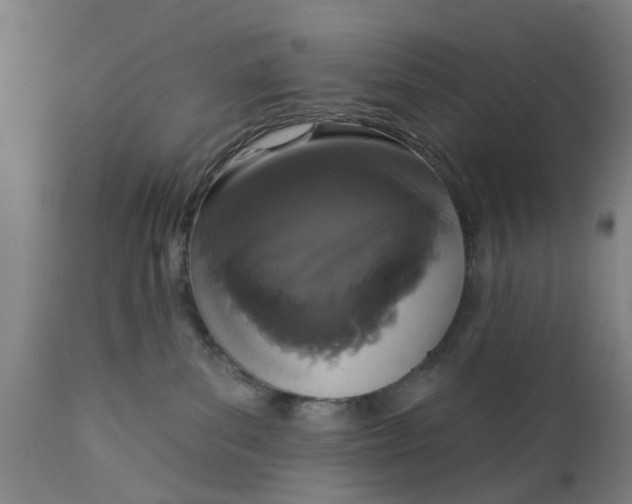 X0000111590139200908061359