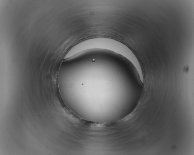 X0000111590140200908061359