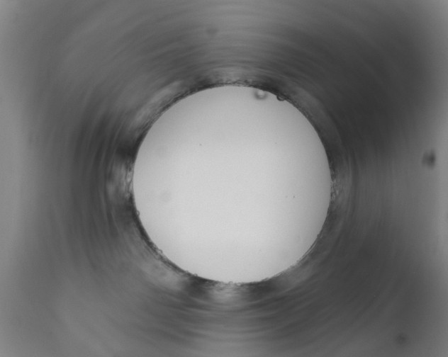 X0000111590142200908061359