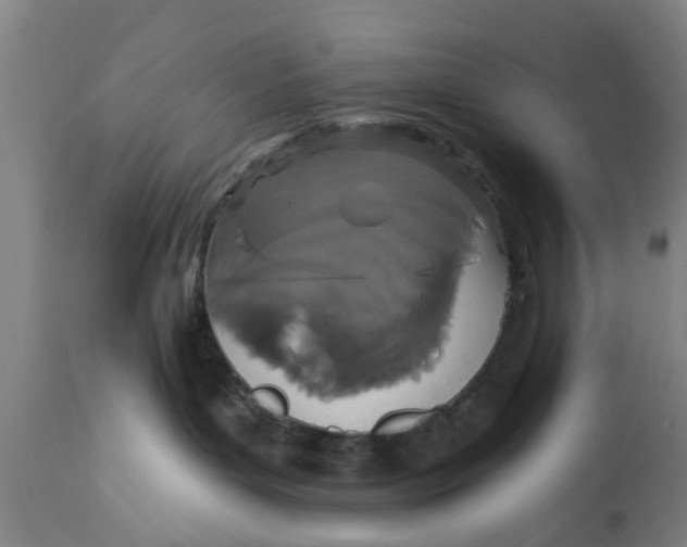 X0000111590143200908061359