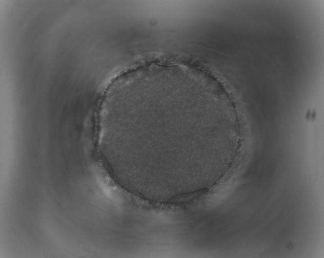 X0000111590144200908061359