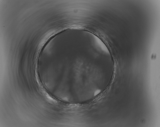 X0000111590145200908061358