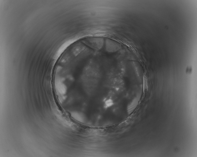 X0000111590147200908061358