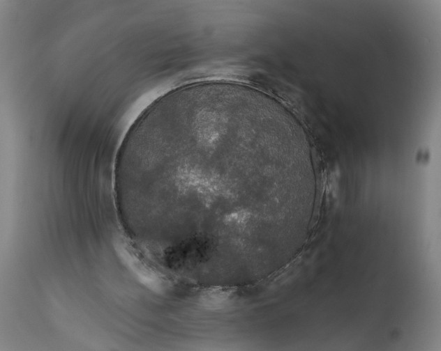 X0000111590148200908061358