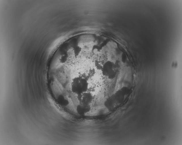 X0000111590149200908061358