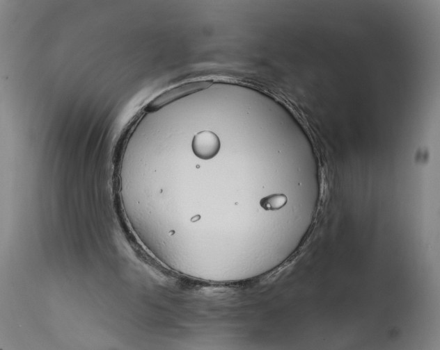 X0000111590150200908061358