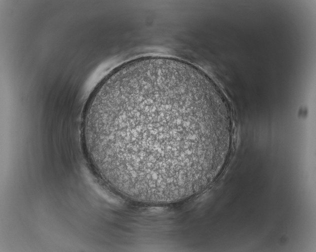 X0000111590151200908061358