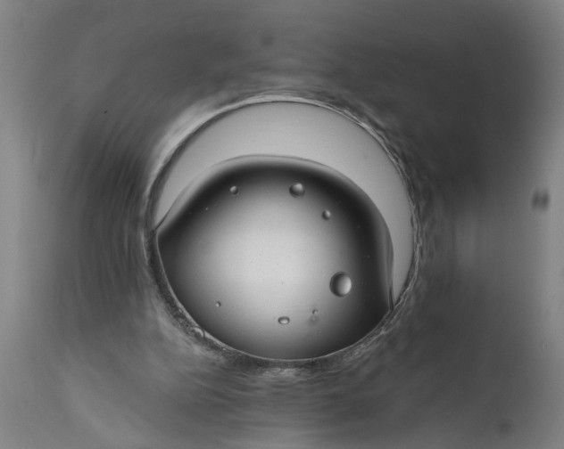 X0000111590152200908061358