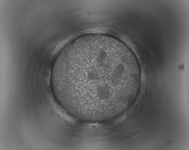 X0000111590153200908061358