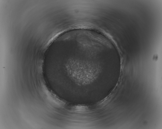 X0000111590154200908061358