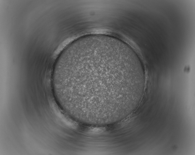 X0000111590155200908061358