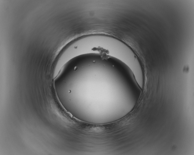 X0000111590156200908061358