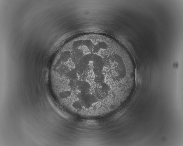 X0000111590157200908061358