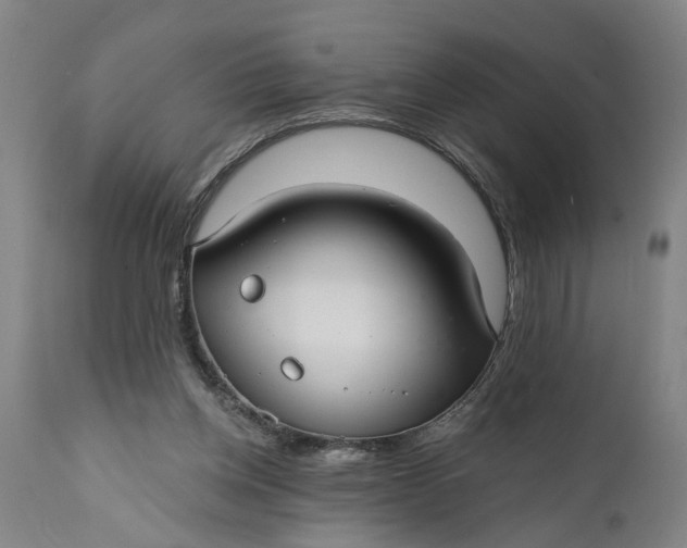 X0000111590158200908061358