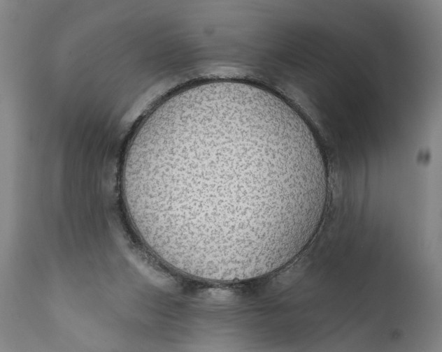 X0000111590159200908061358