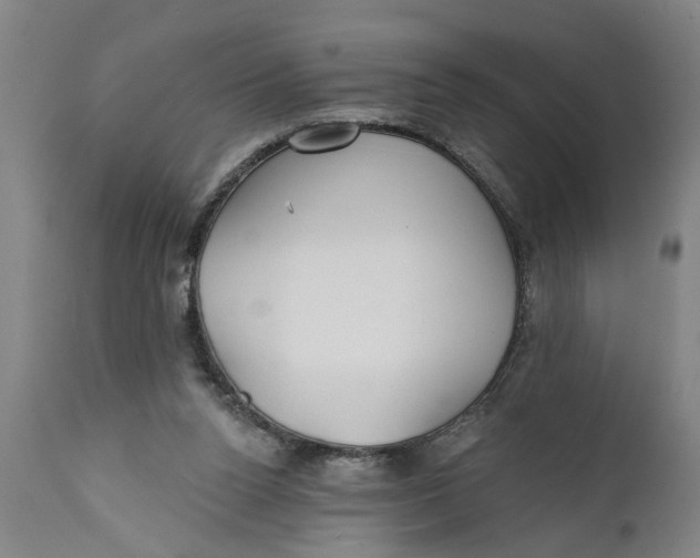 X0000111590160200908061358