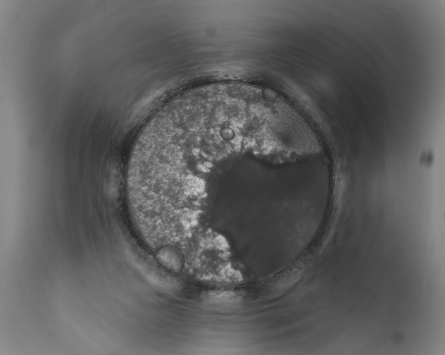 X0000111590161200908061358