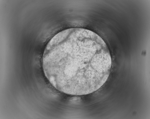 X0000111590162200908061358